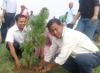 वातावरण दिवशको अवसरमा वृक्षारोपण